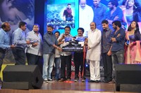 Businessman Movie Audio Launch